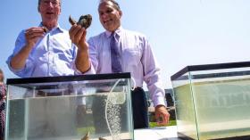 Jim Gaughran & Joe Saladino Holding Oysters Used to Help Clean the Bay